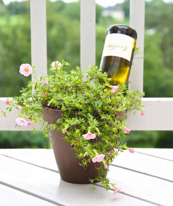 Diy Wine Bottle Garden Decor Ideas