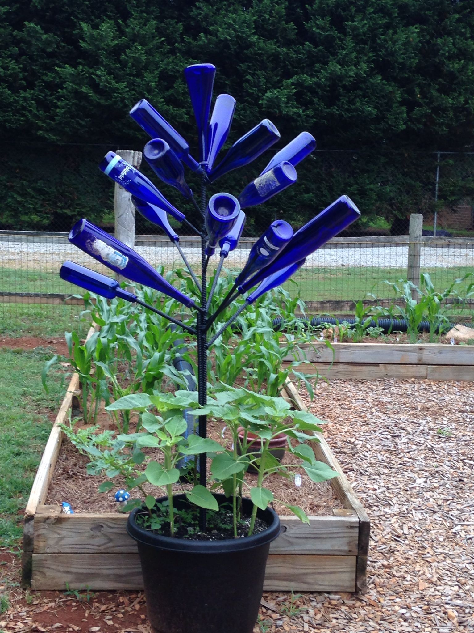 This Plus More Great Outdoor Wine Bottle