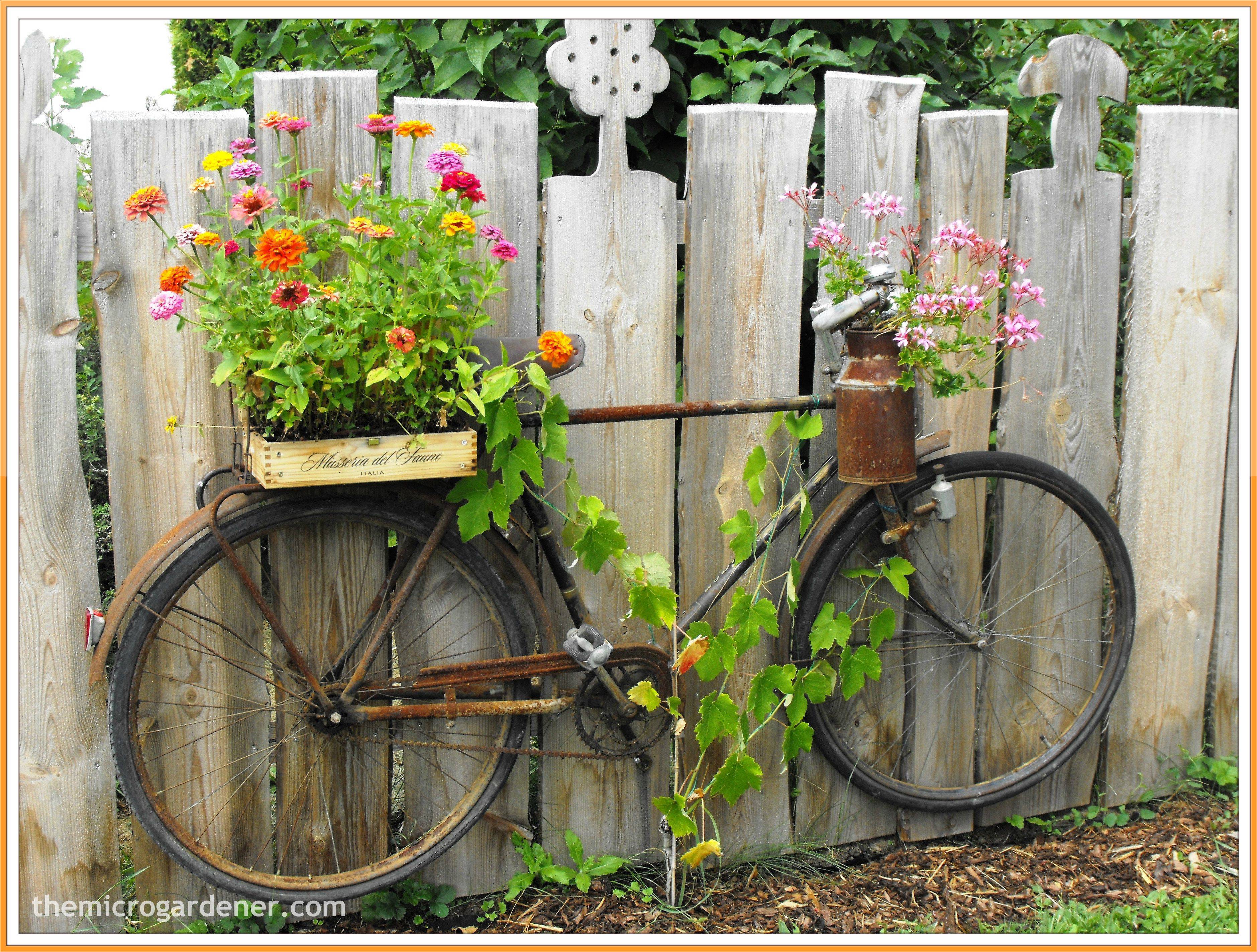 Garden Decorations