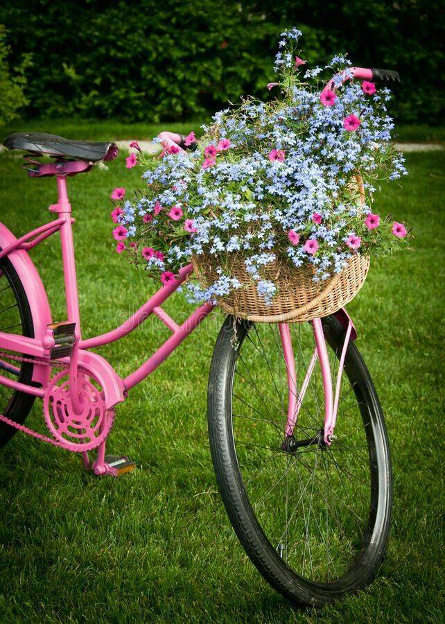Charming Bicycle Planter Ideas