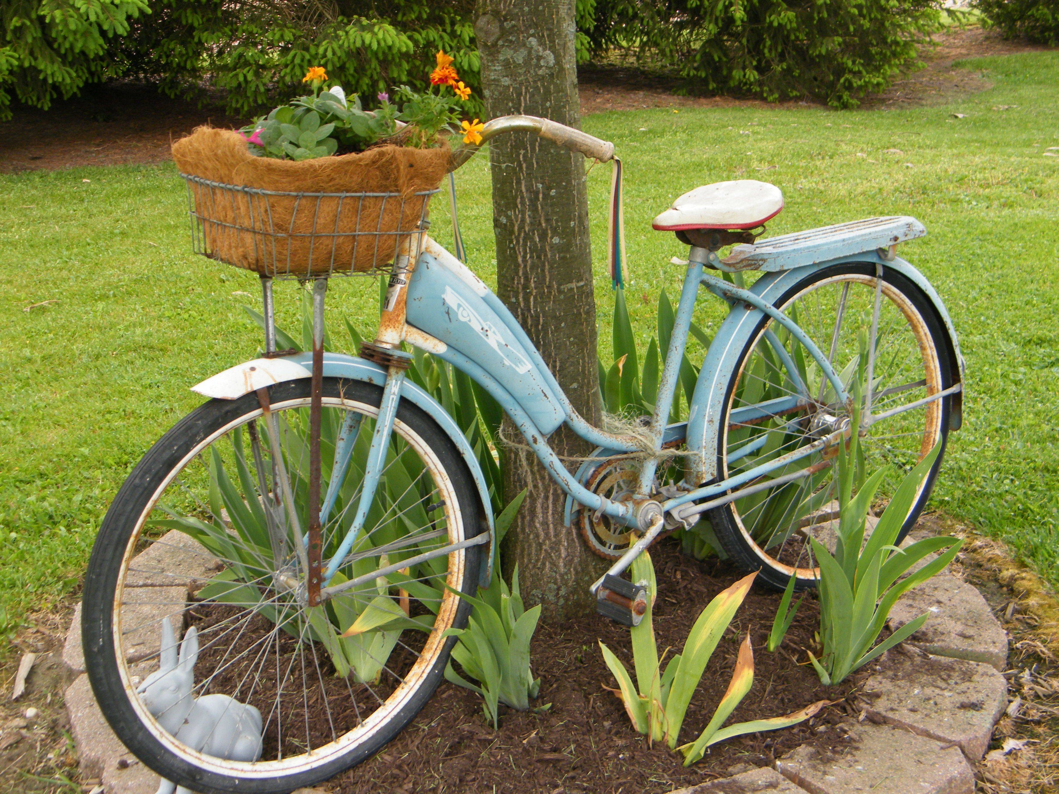 Old Bicycle