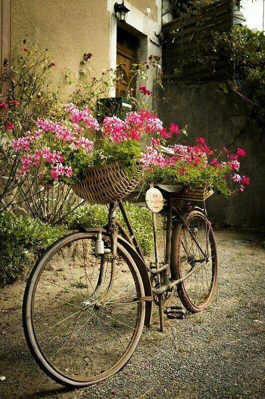 Antique Bike Bike Planter