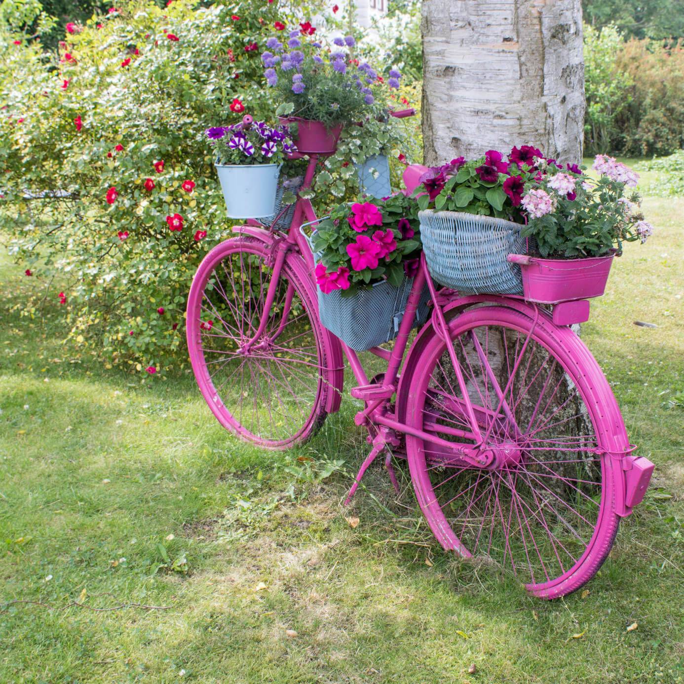 Charming Bicycle Planter Ideas