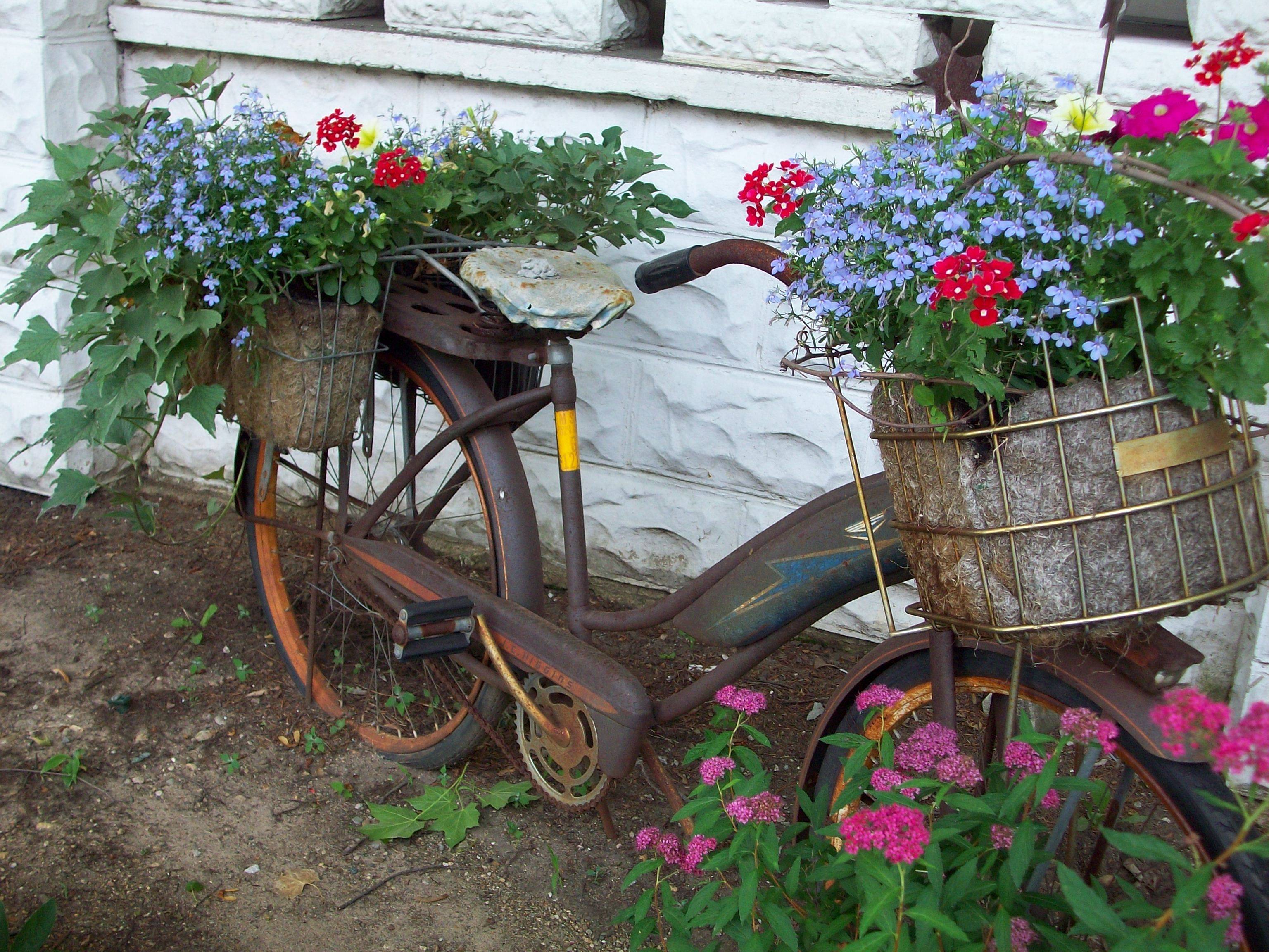 Vintage Bicycle Planter