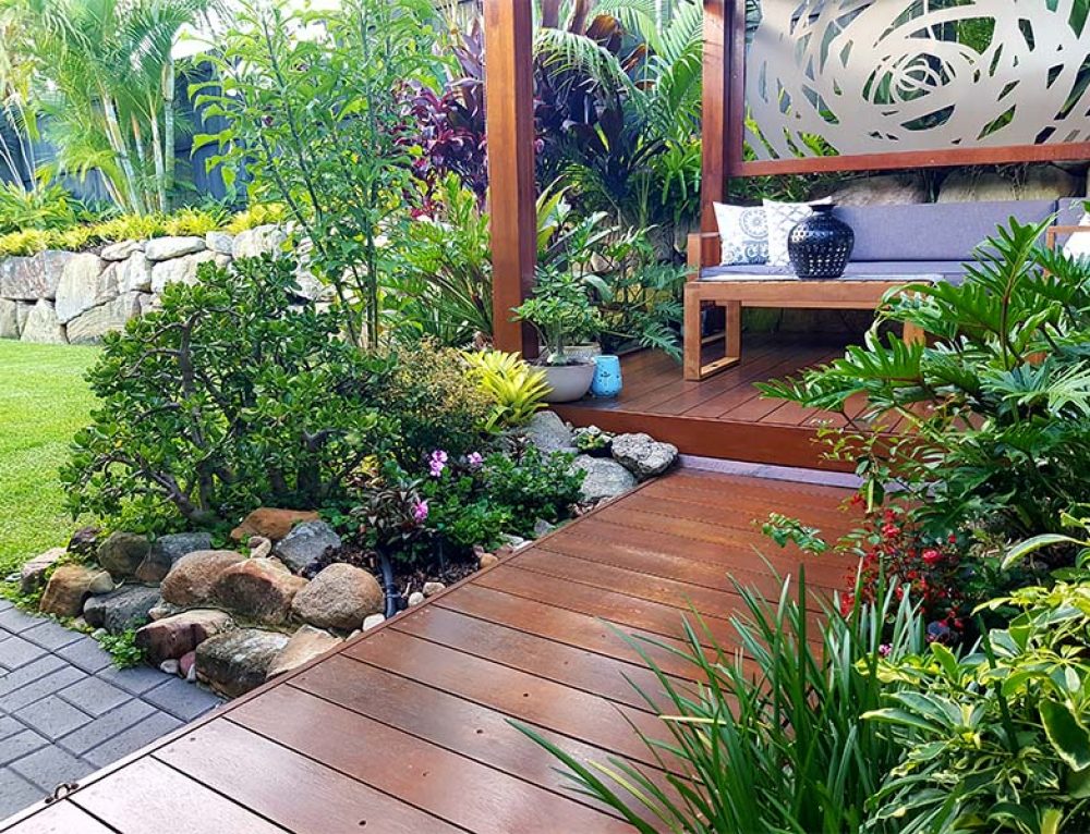 Souh Africa Google Search