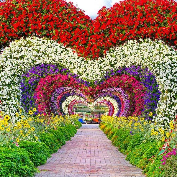 Dubai Miracle Garden Miracle Garden