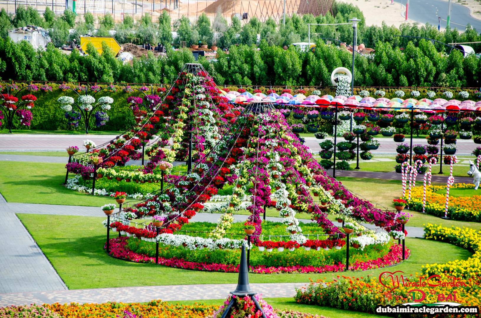 Dubai Miracle Garden New Look