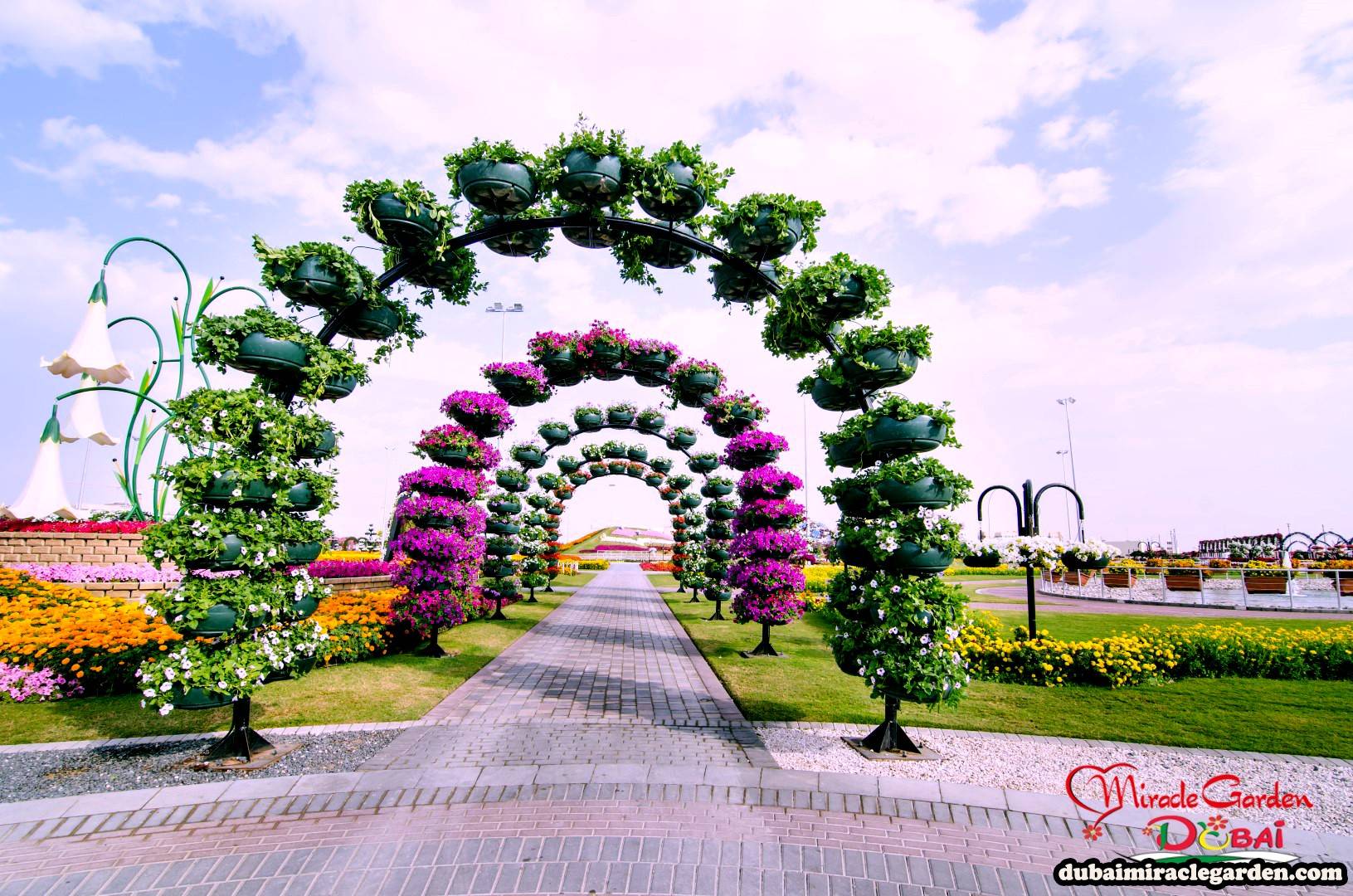 Dubai Miracle Garden New Look