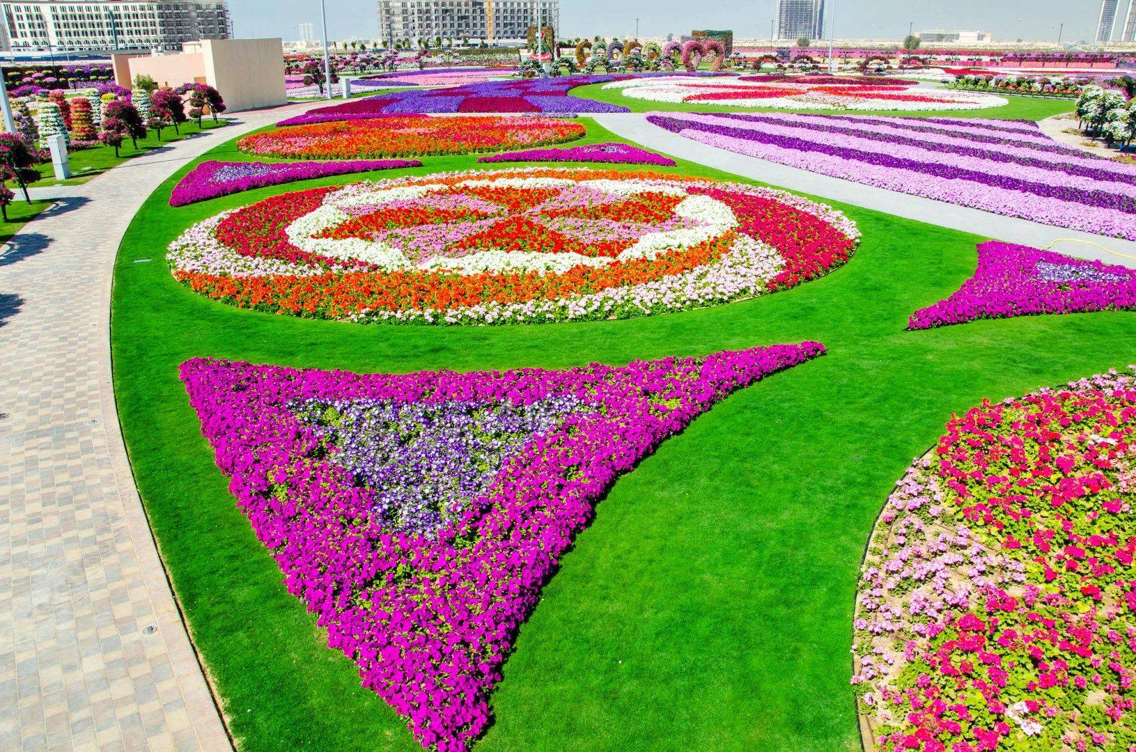 The Most Attractive Garden