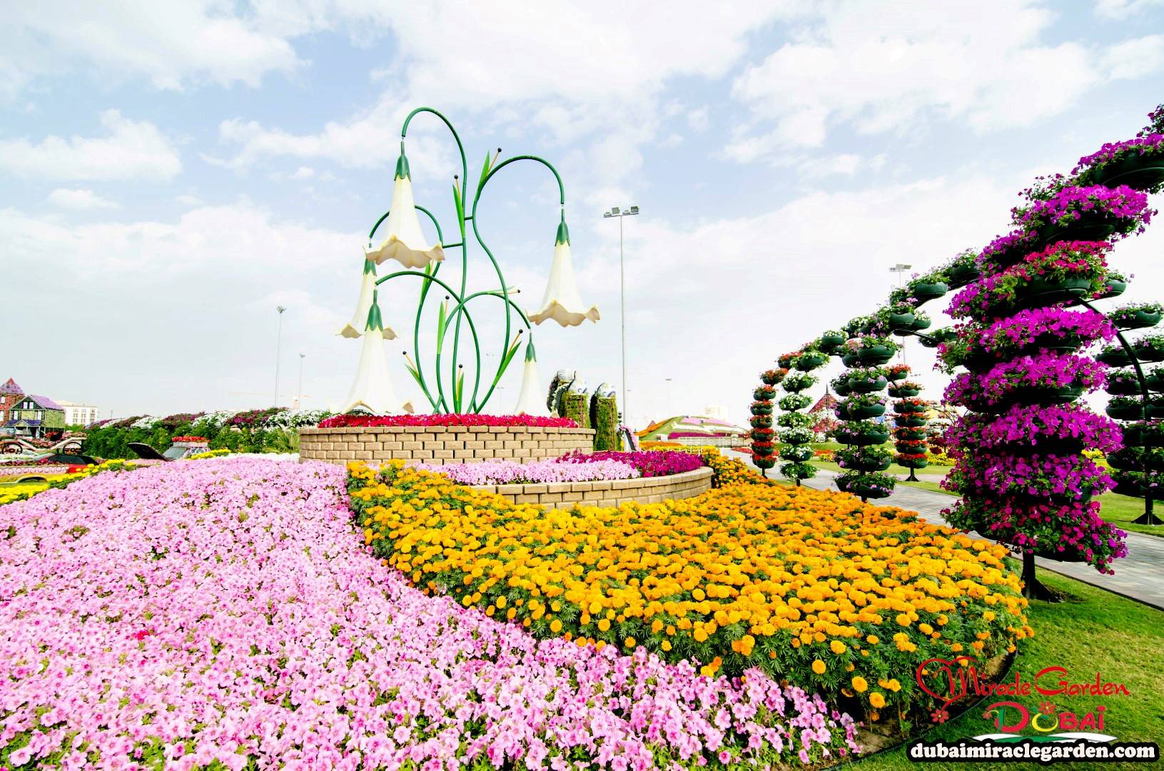 The Worlds Biggest Natural Flower Garden