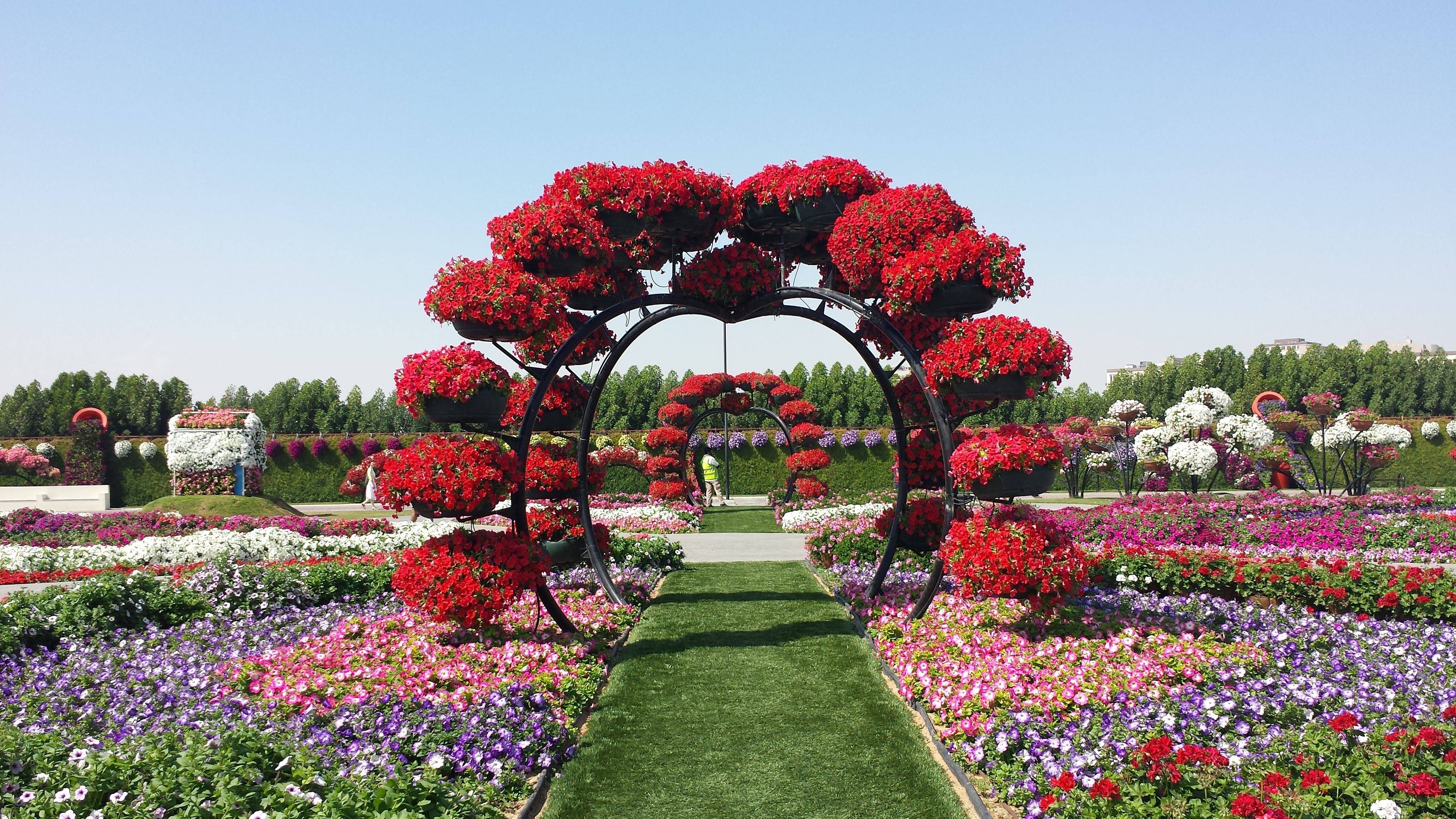 The Worlds Biggest Natural Flower Garden