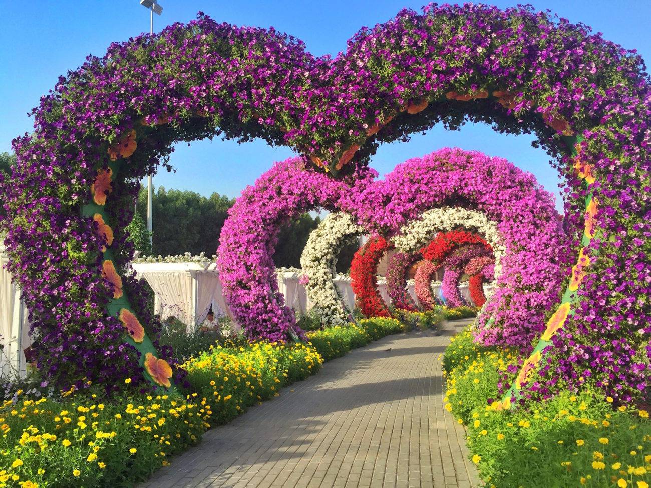The Worlds Biggest Natural Flower Garden