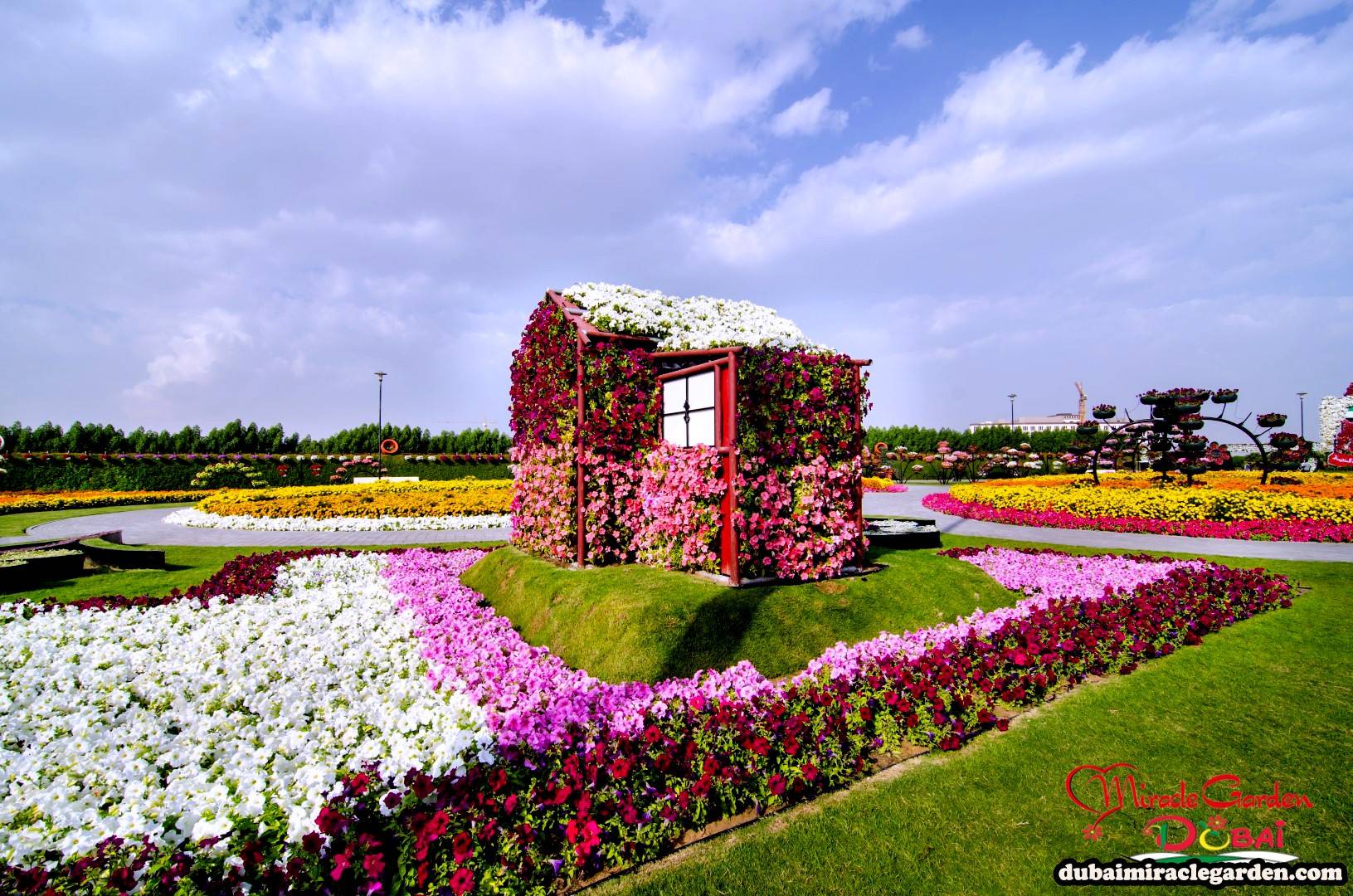 The Worlds Biggest Natural Flower Garden