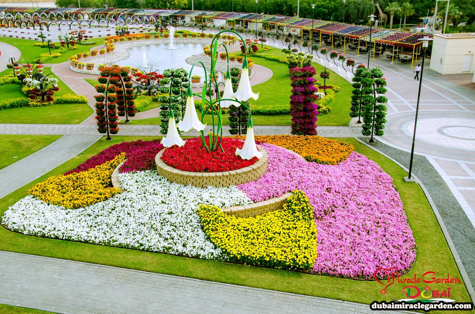 The Worlds Biggest Natural Flower Garden