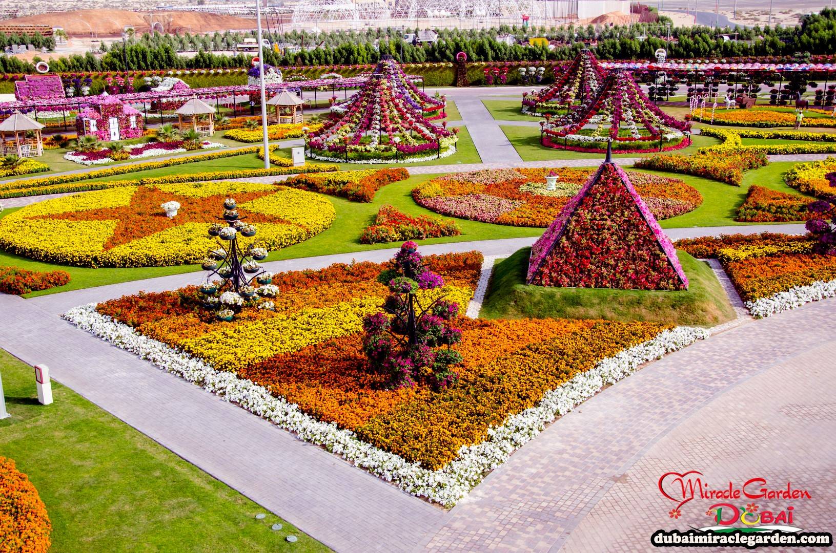 The Worlds Biggest Natural Flower Garden