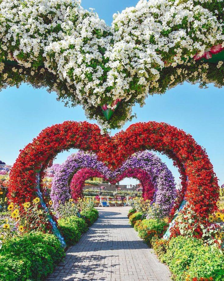 The Worlds Biggest Natural Flower Garden