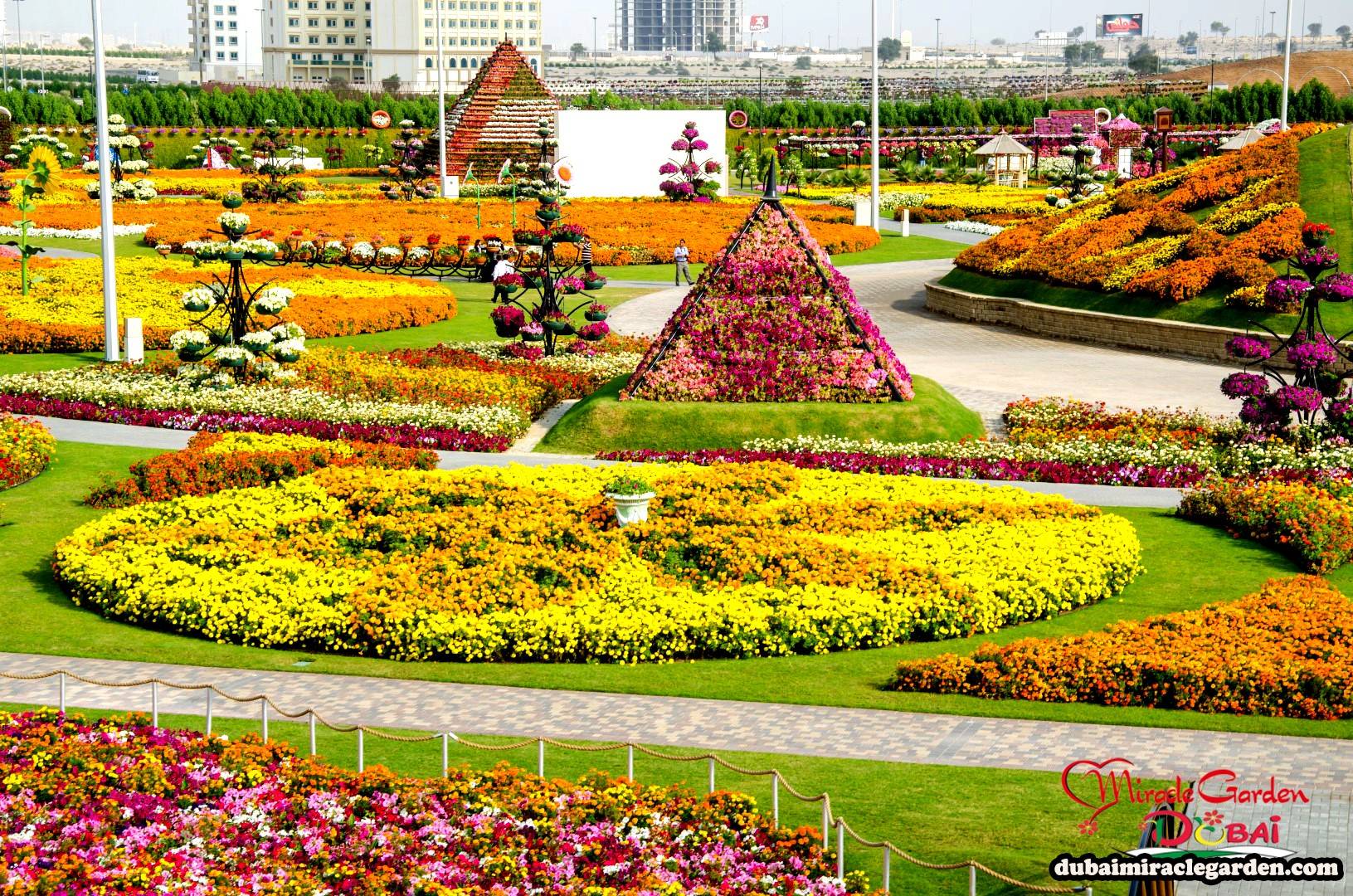 Dubai Miracle Garden