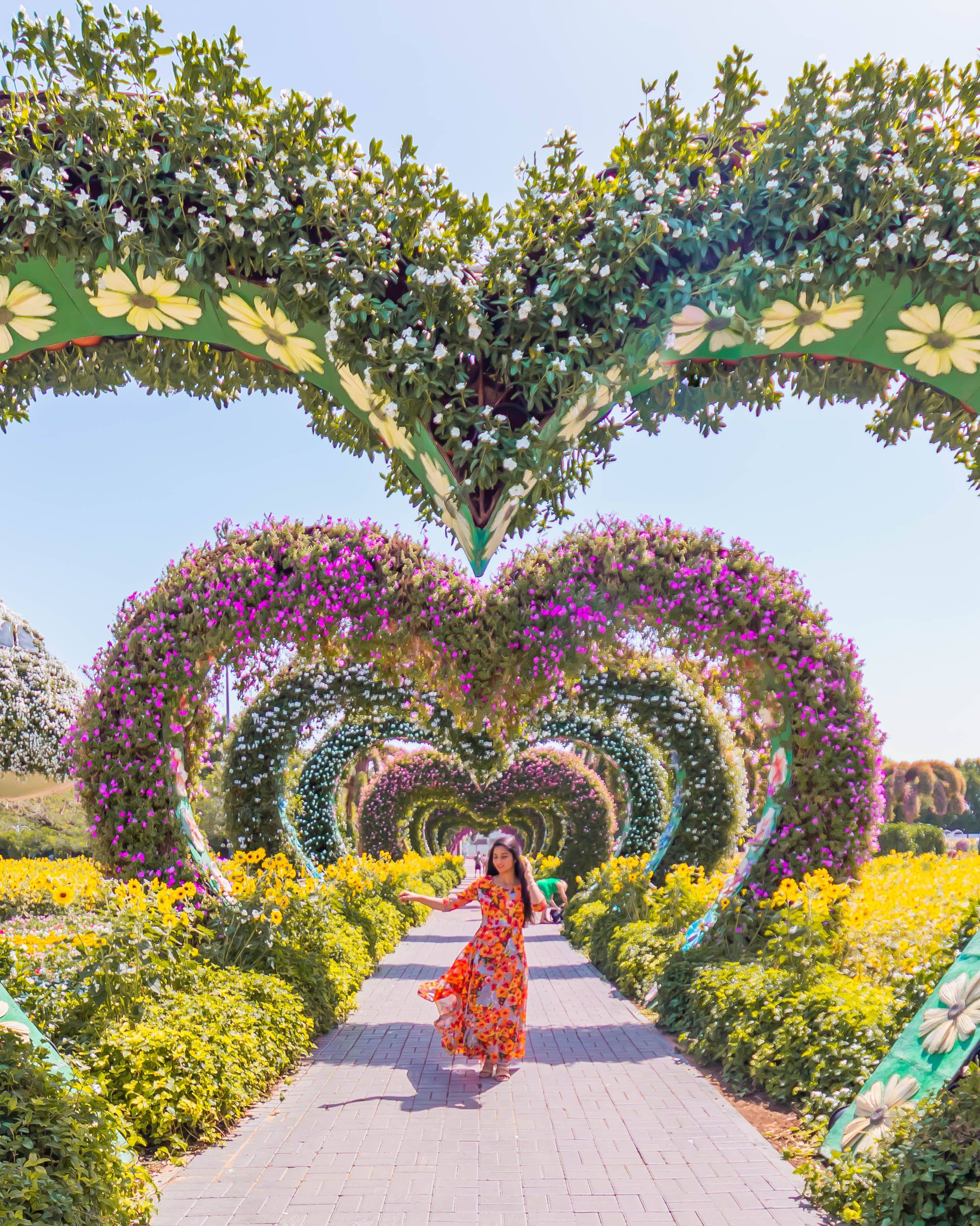 Dubai Miracle Garden Uae United Arab Emirates Flower Seni Pertamanan