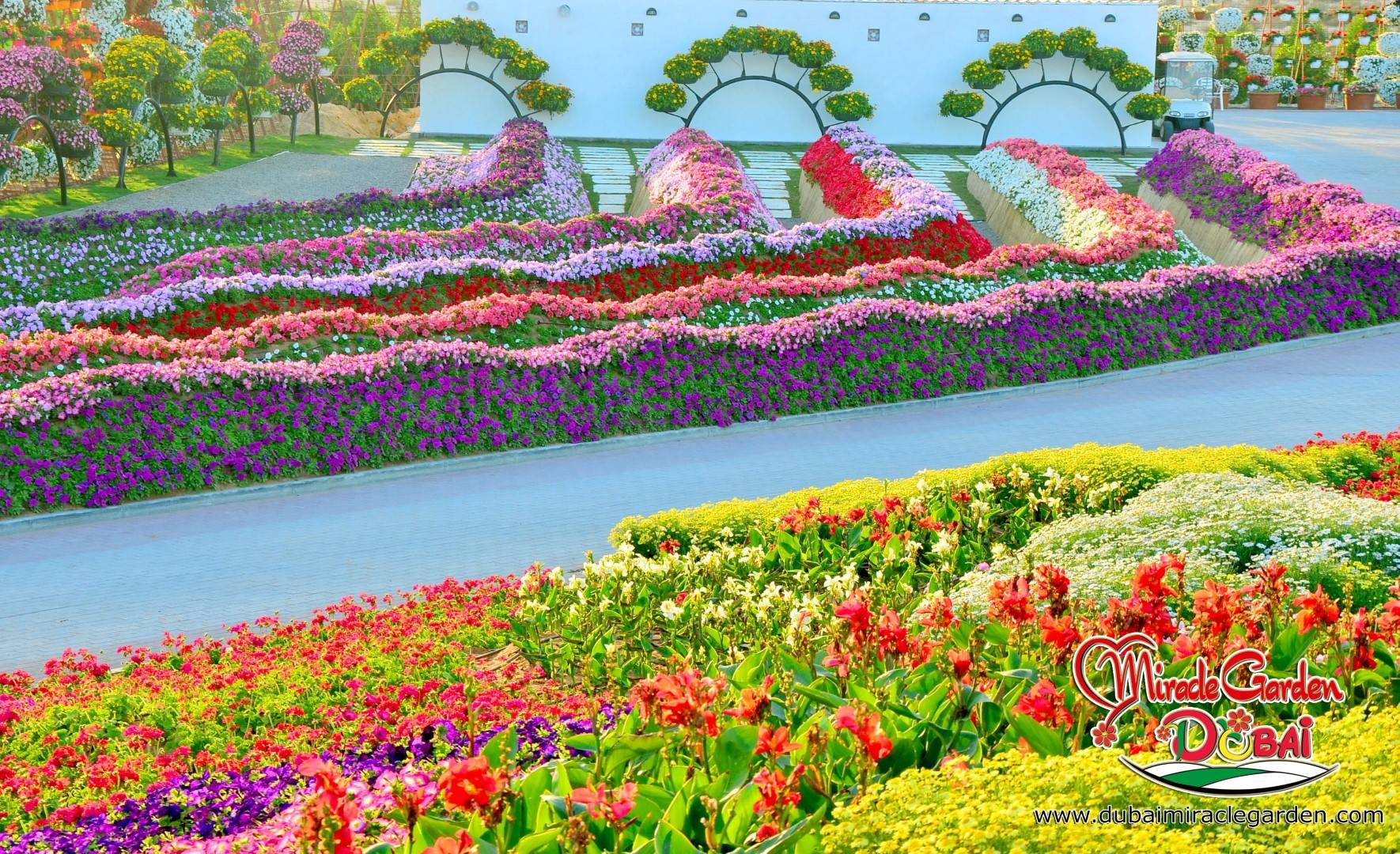 Dubai Miracle Garden