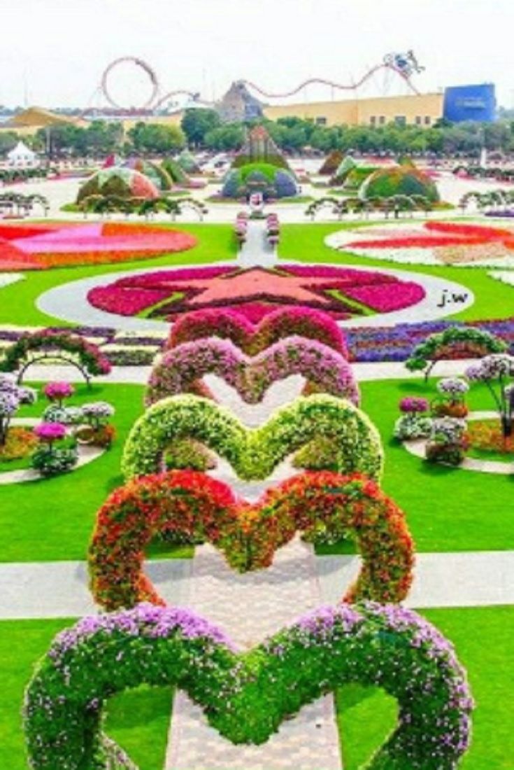 A Spectacular Flower Garden Arabia Horizons