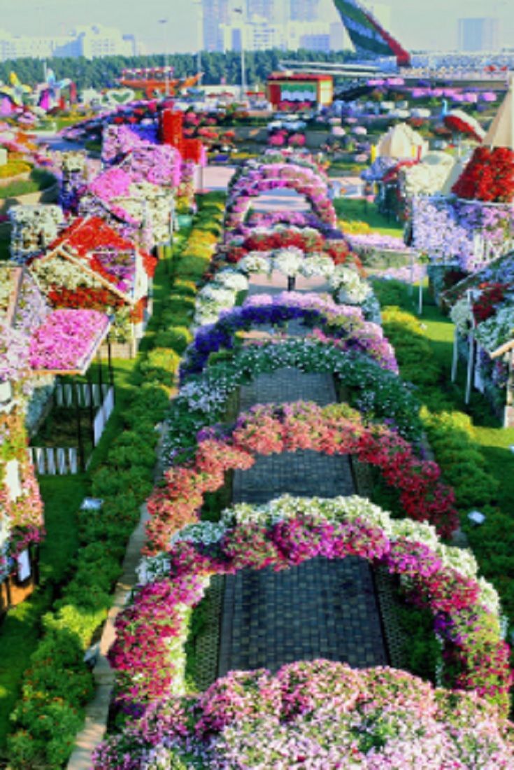 Dubai Miracle Garden