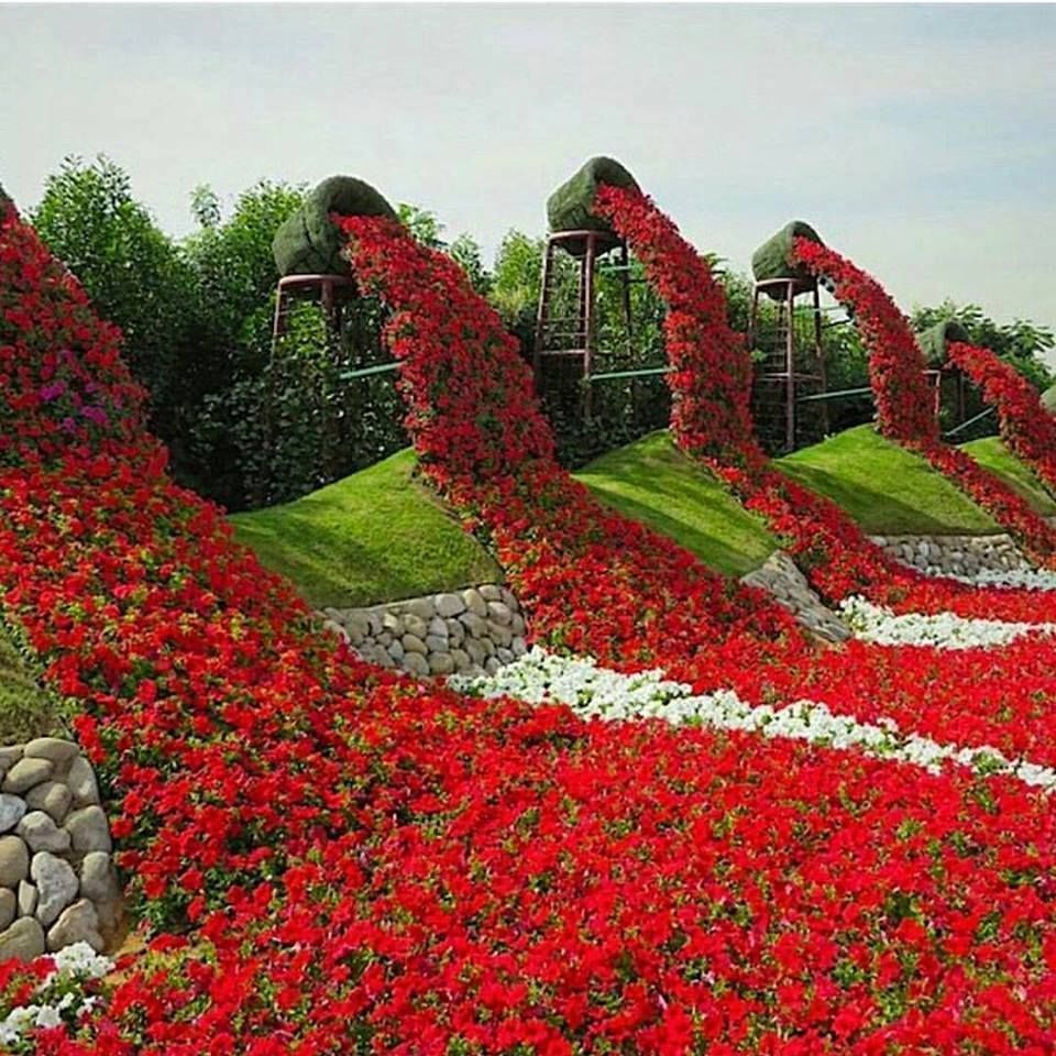 Awesome Dubai Miracle Garden