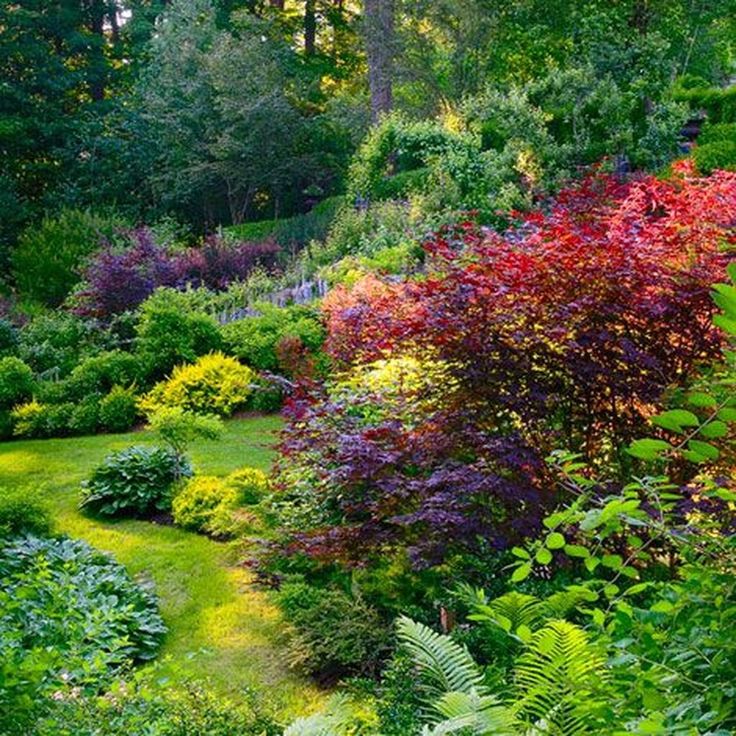 Modern Beautiful Home Gardens