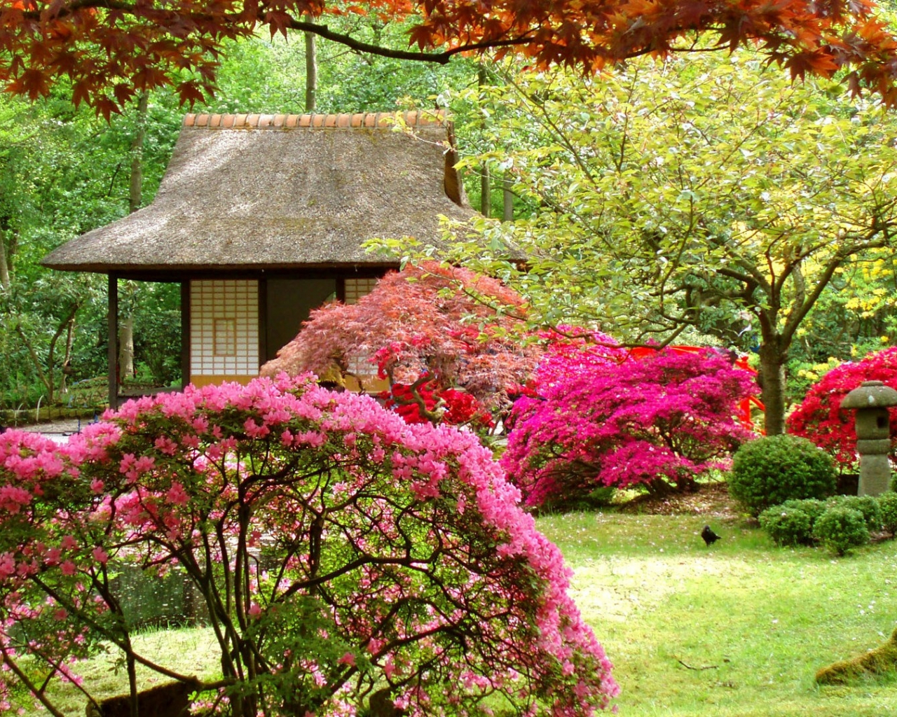Two New Margos Garden Windows Themes