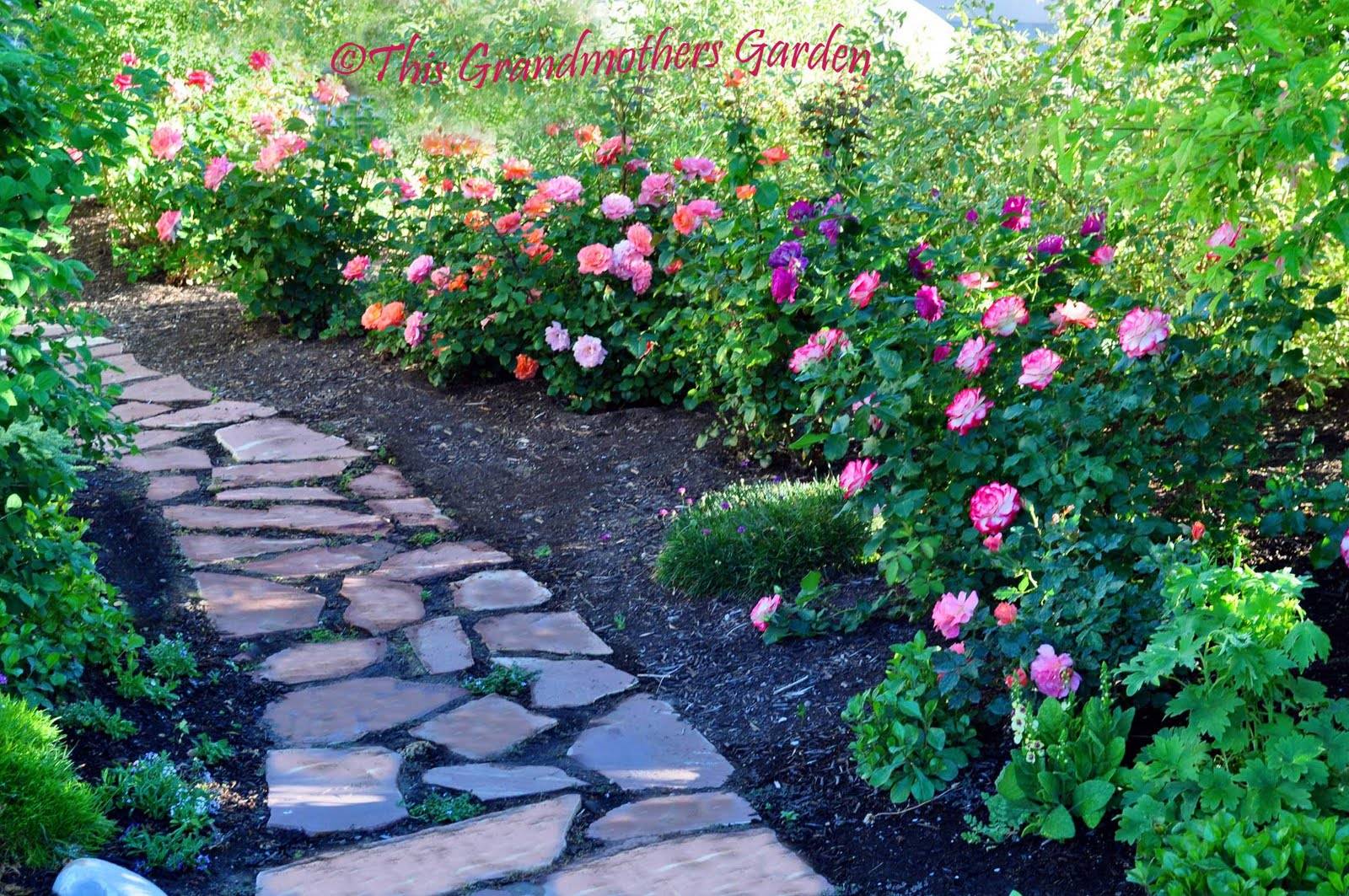 Amazing Backyard Rose Garden Ideas