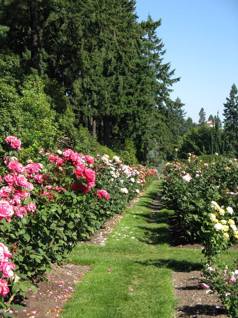 Stunning Cottage Style Garden Ideas