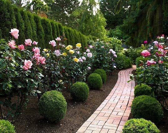 Fancy Garden Bed Borders Ideas