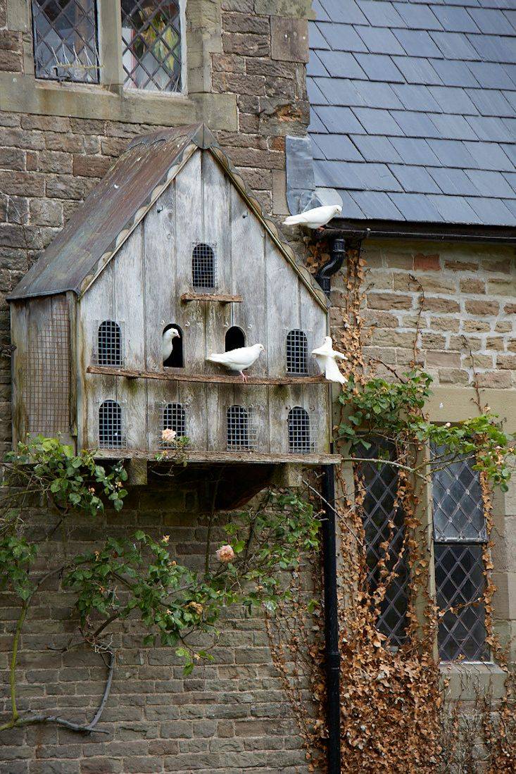 English Creeping Ivy Birdhouse