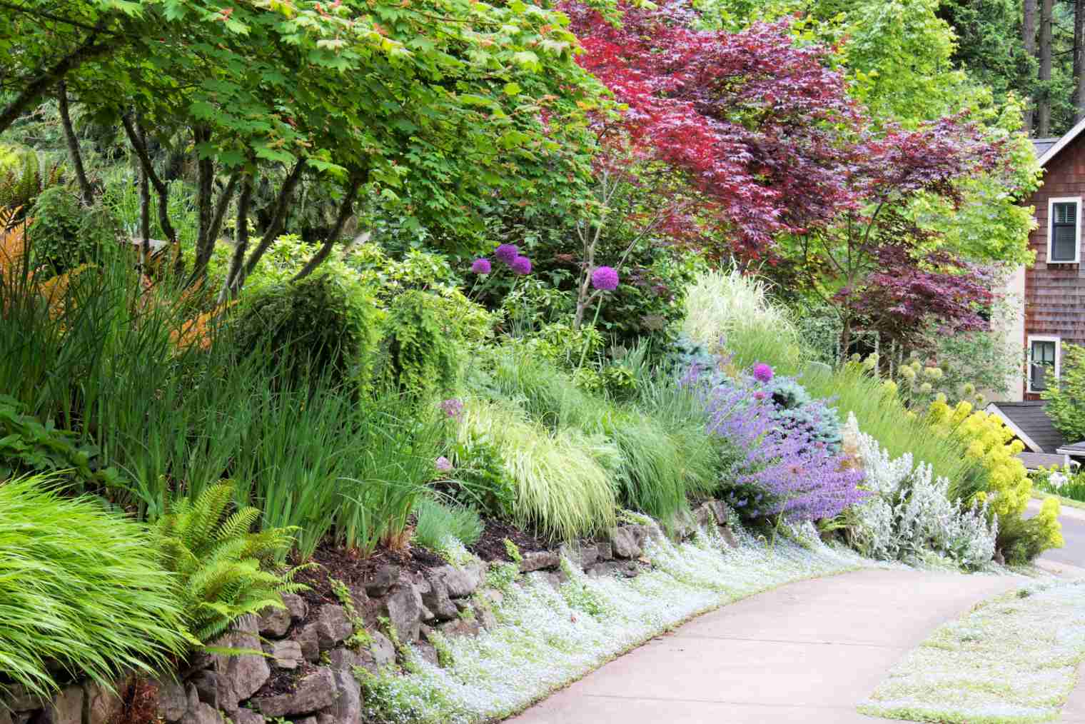 An English Cottage Garden