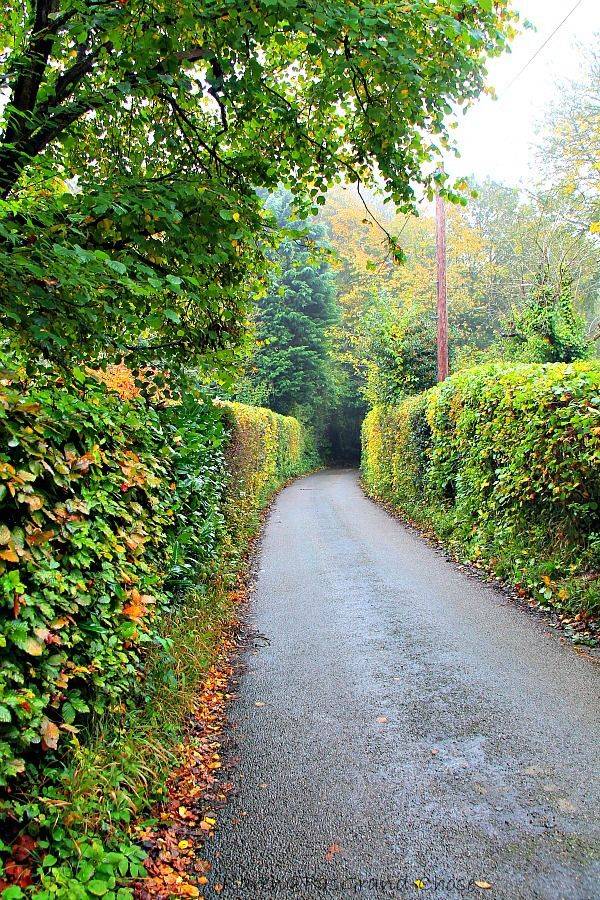 English Village Garden Club Tour