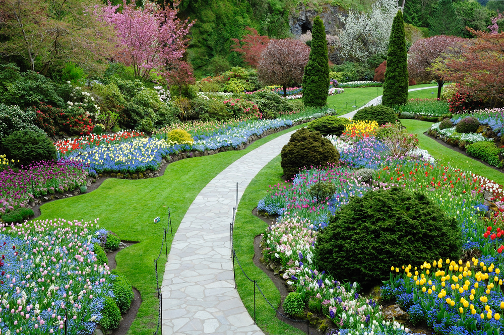 A Charming Garden Path Amazing Diy