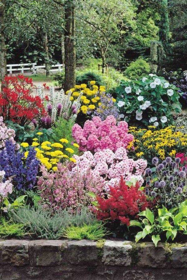 A Cottage Garden And Design Ideas