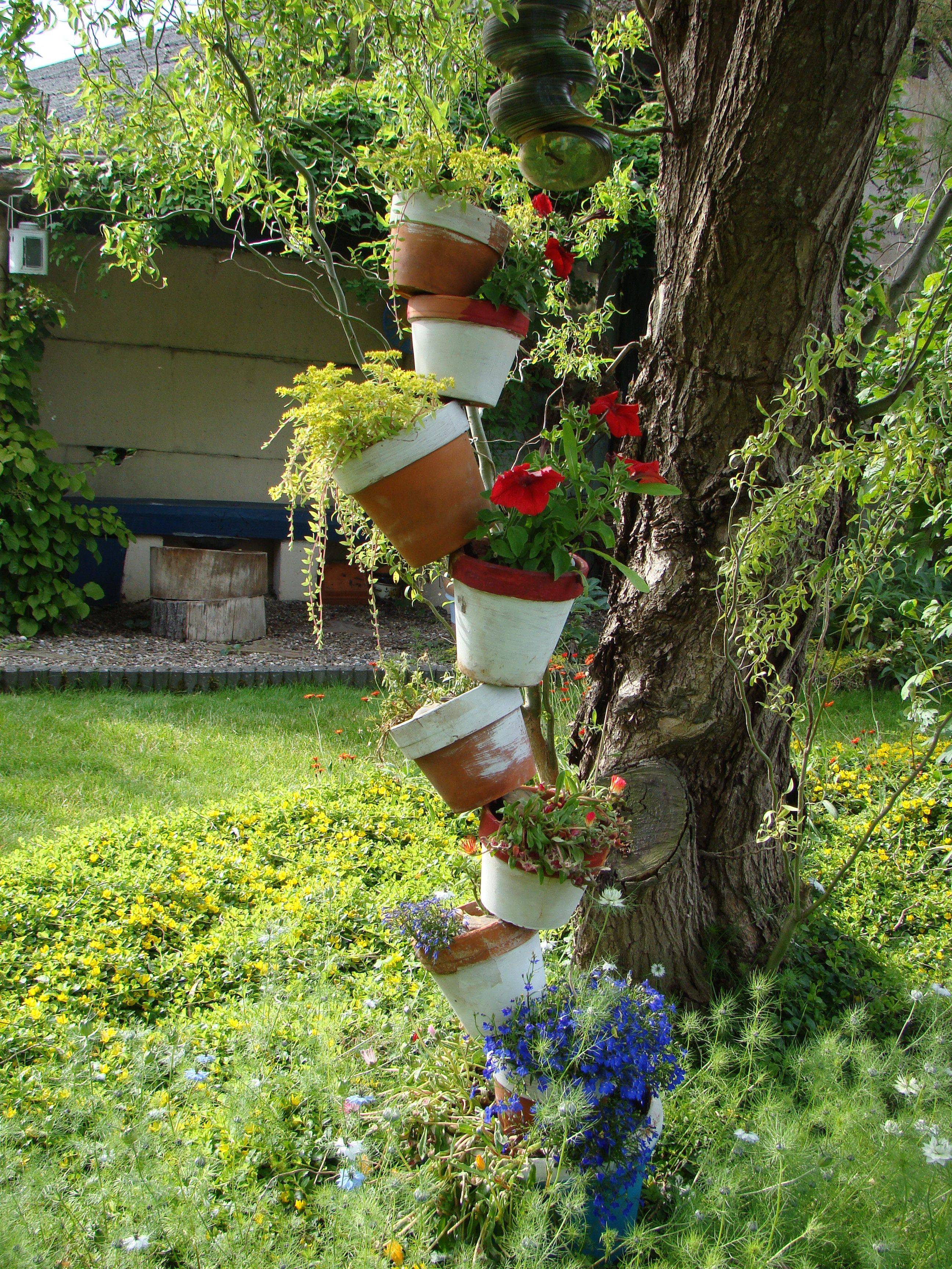 Glass Plate Flowers