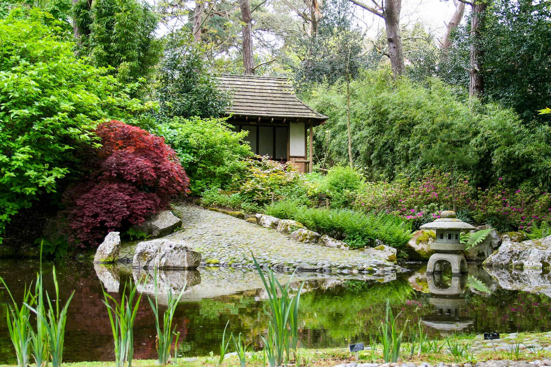 Kyoto Httpwwwtoji