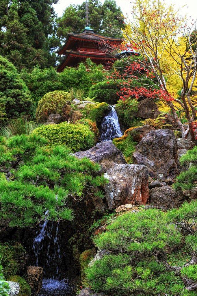 Jardin Asian Landscape