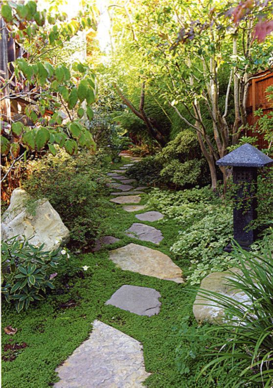 Shaded Yard Japanese Garden