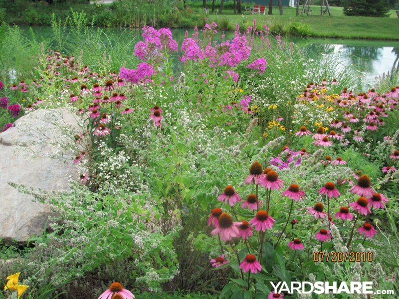 Best Cottage Style Garden Ideas