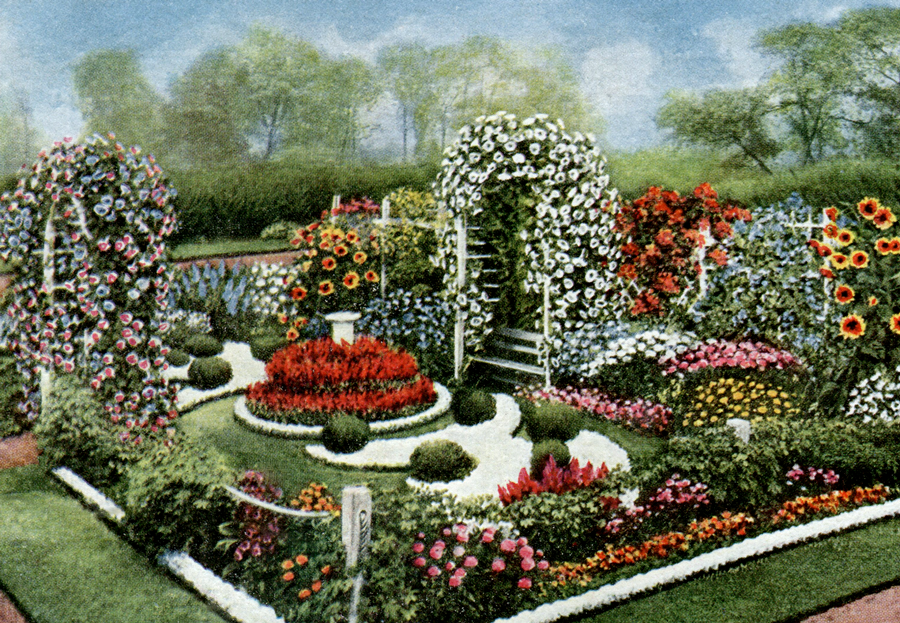 Best Primitive Flowers And Gardens Images