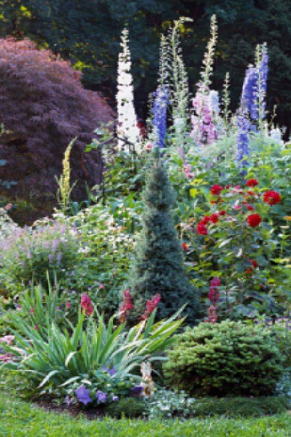 A Whitewashed House Cottage Garden Borders