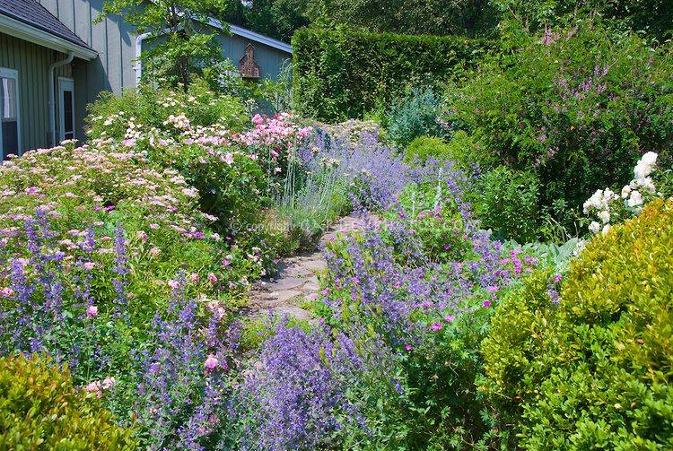 An English Cottage Garden