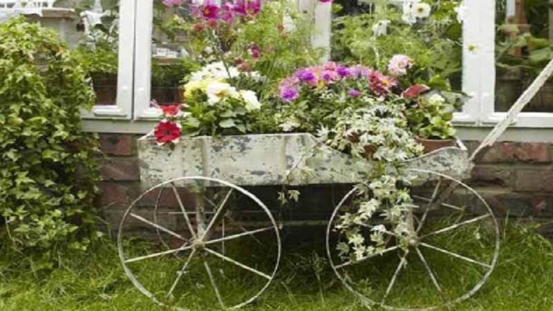 An Oldfashioned Cottage Garden