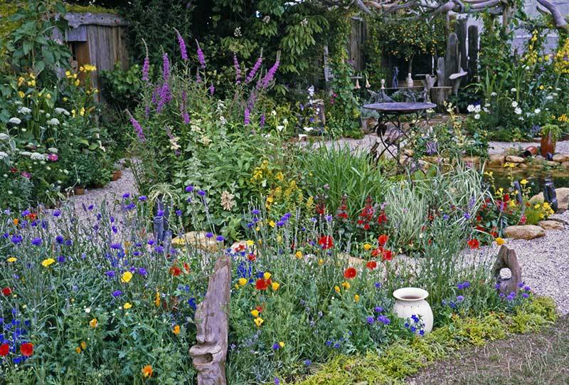 Oldfashioned Grandmothers Cottage Garden Plant Flower Stock