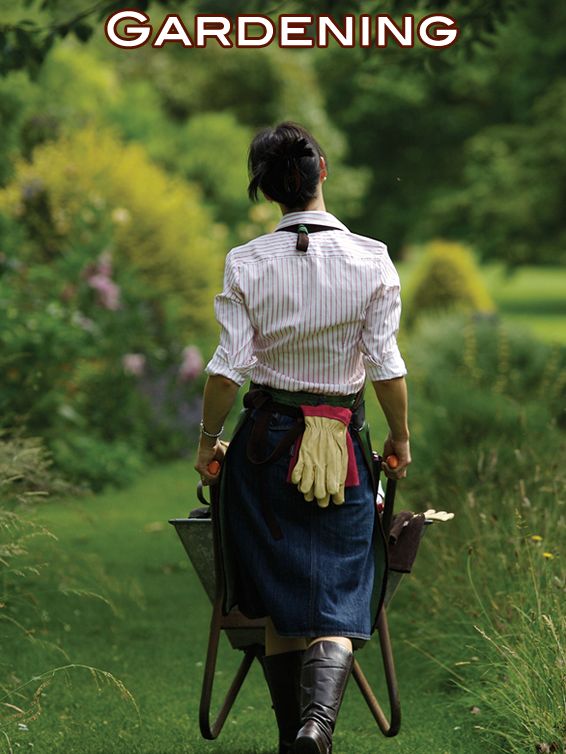 Fashion Clothes Fashion