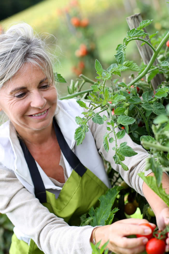 Remarkable Womens Gardening Clothes Perfect Design Dig