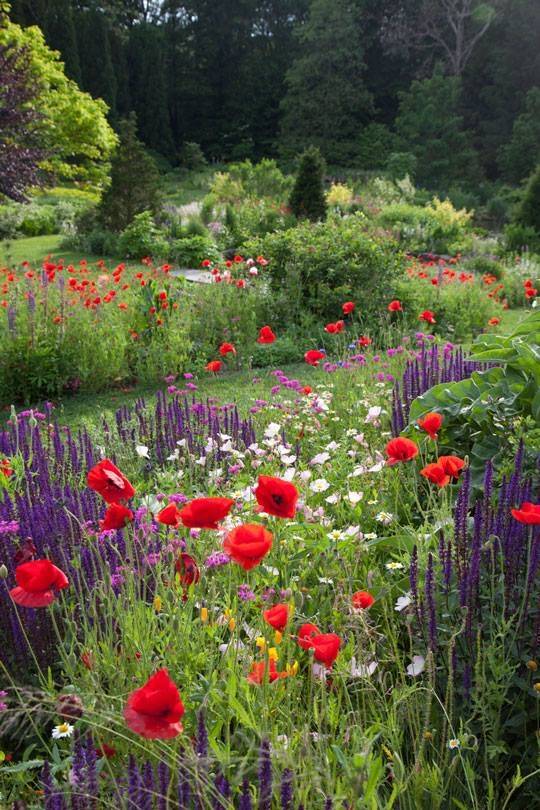 The Memorial Flower Gardenorg
