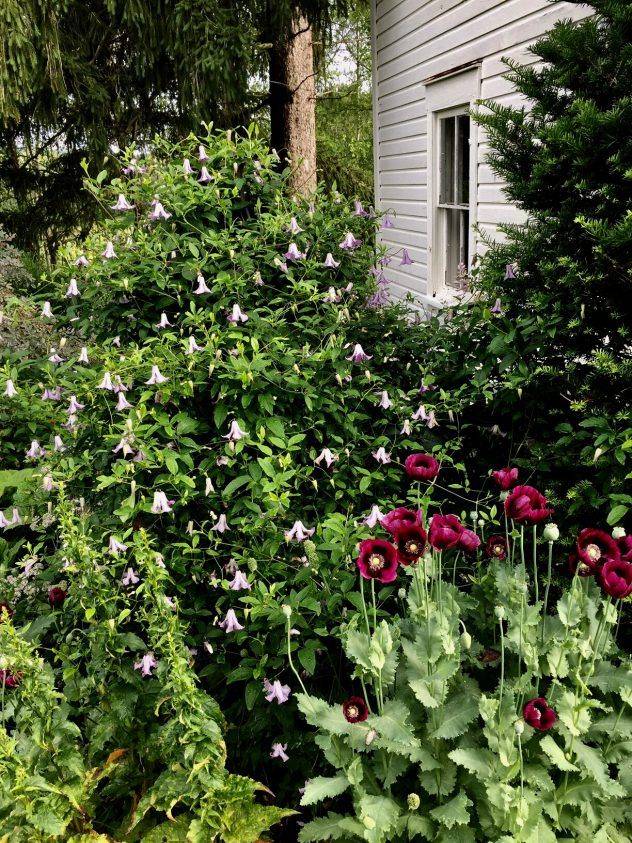 Your Raised Beds